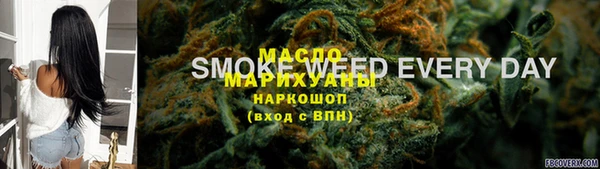 молекула духа Медвежьегорск