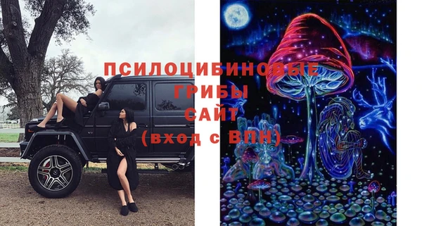 бошки Мегион