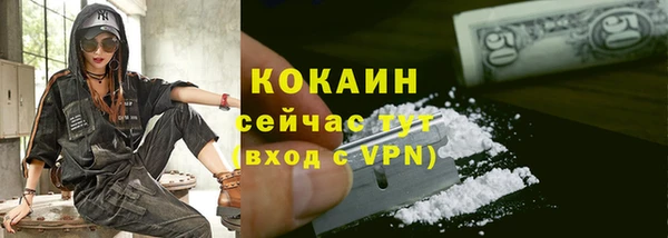 молекула духа Медвежьегорск