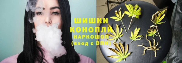 молекула духа Медвежьегорск