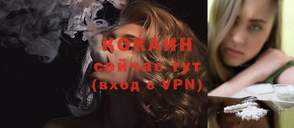 молекула духа Медвежьегорск