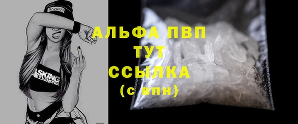 молекула духа Медвежьегорск