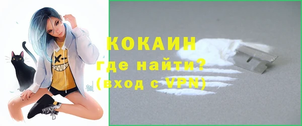 молекула духа Медвежьегорск