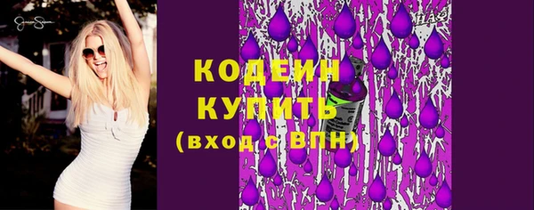 молекула духа Медвежьегорск