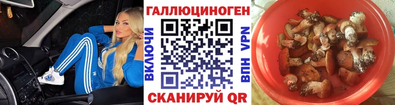 Купить закладки  Владикавказ  Галлюциногенные грибы мухоморы 